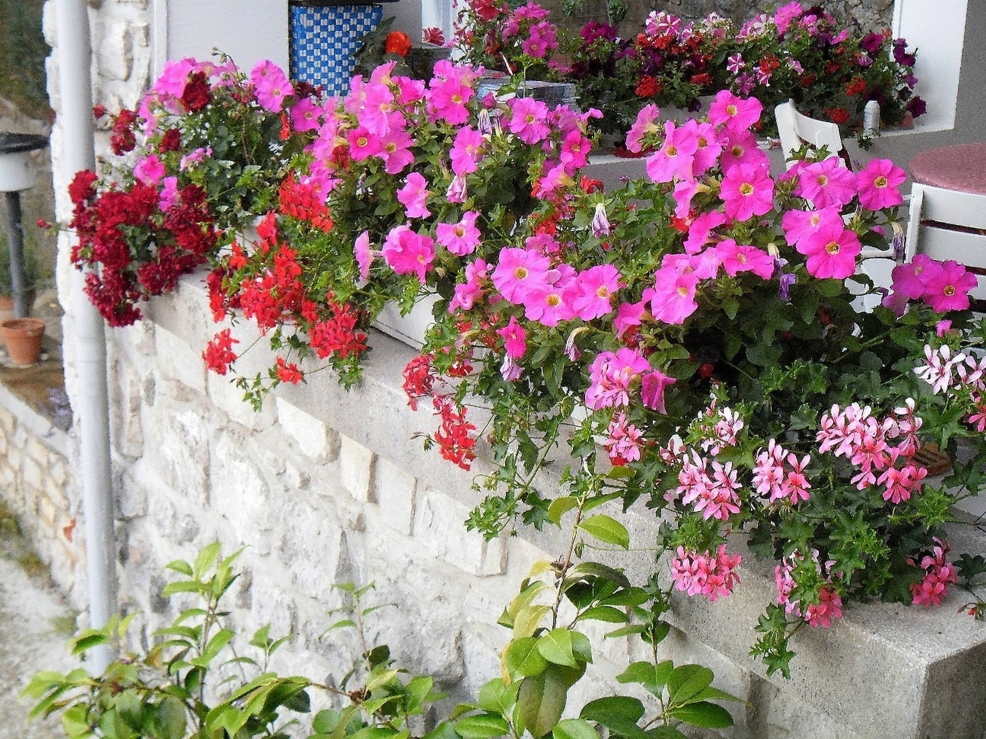 אופטיה Apartments Kestenovi Dvori מראה חיצוני תמונה